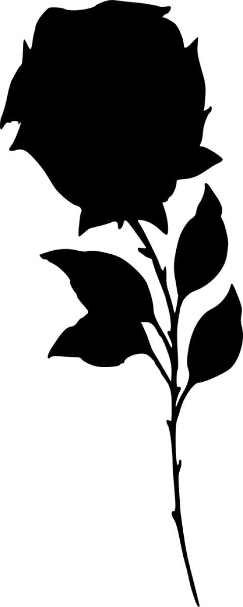 Free Png Rose Silhouette Png Images Transparent - Stock.xchng (480x1196), Png Download