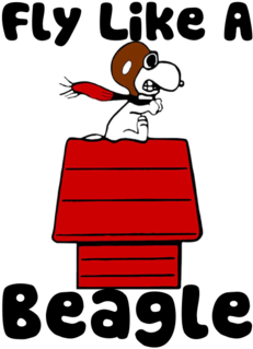 A Few Peanuts / Snoopy / Charlie Brown Preservation - Fly Like A Beagle Snoopy (644x376), Png Download
