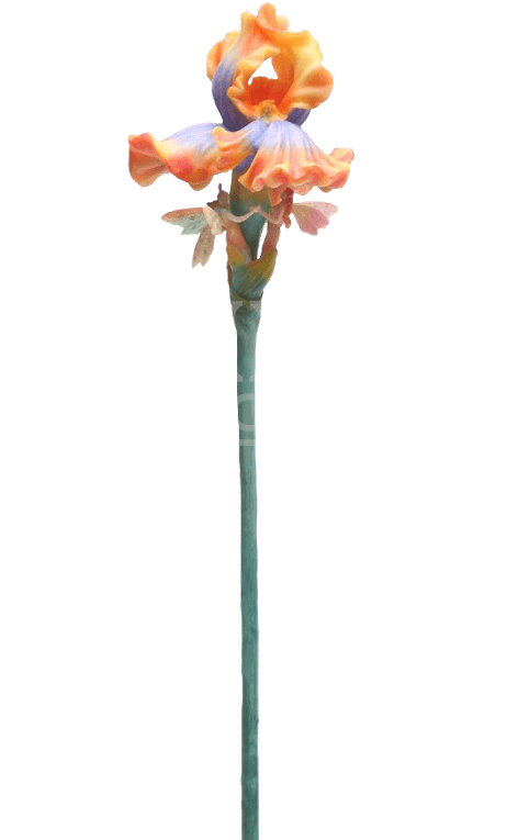 Item - Iris With Winged Fairies Flitty Statue Figurine In (850x850), Png Download