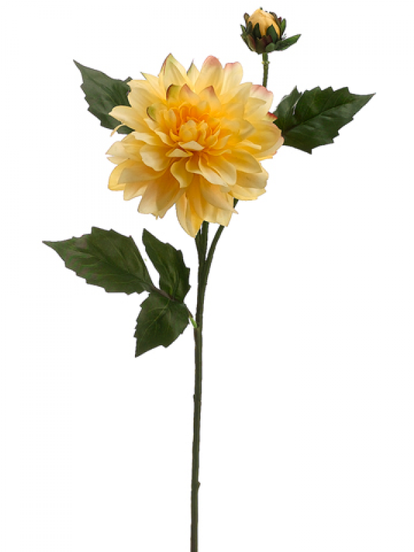 5" Dahlia Spray With 1 Flower And 1 Bud Yellow - Silk Plants Direct Dahlia Spray - Yellow - Pack (800x800), Png Download