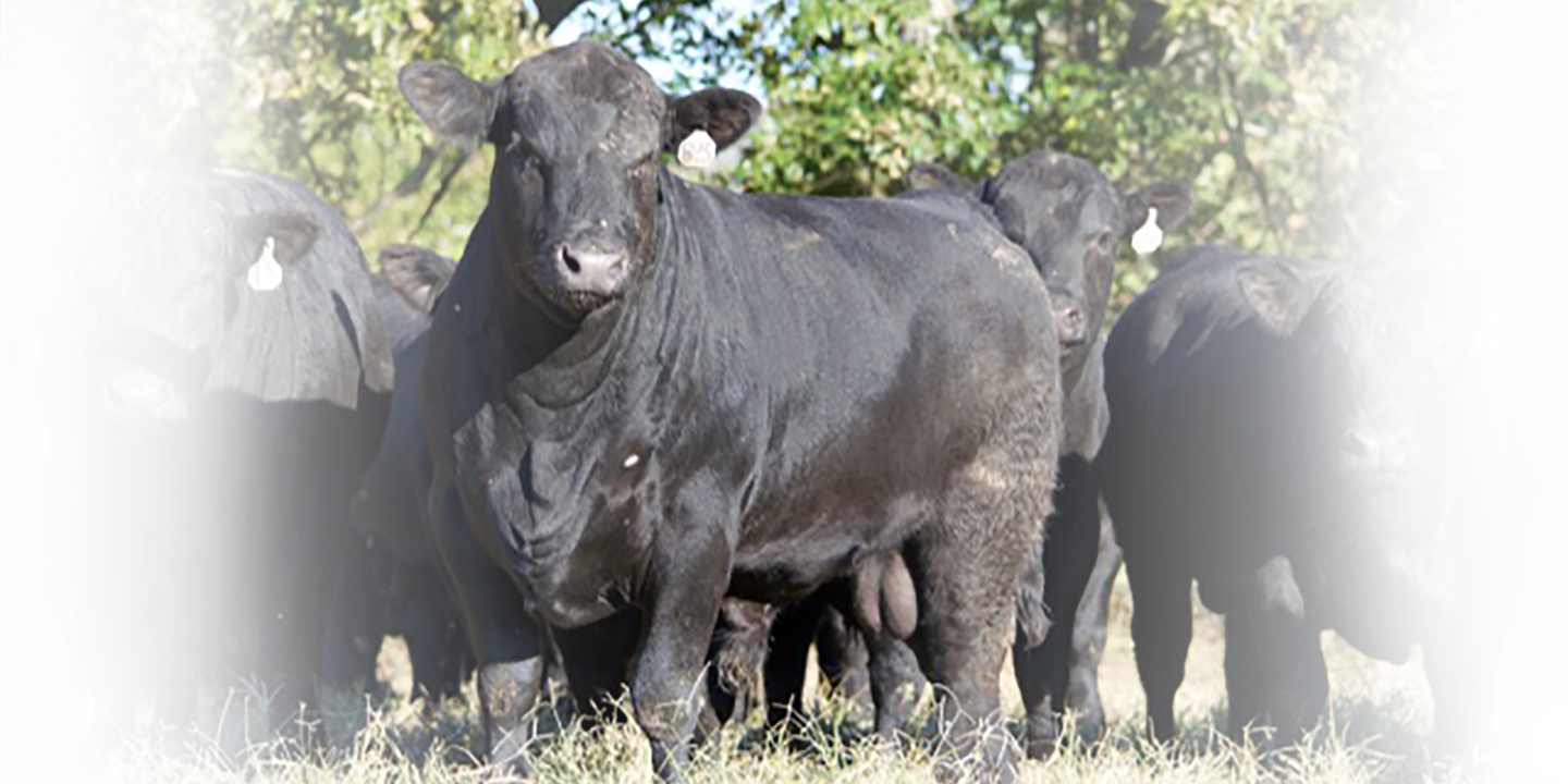 Clearwater Farm (1440x720), Png Download