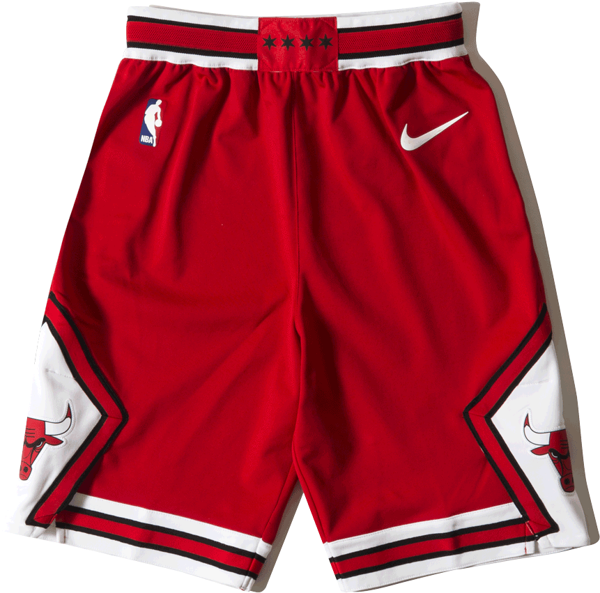 Chicago Bulls Icon Edition Authentic 866373 - Board Short (1333x2000), Png Download
