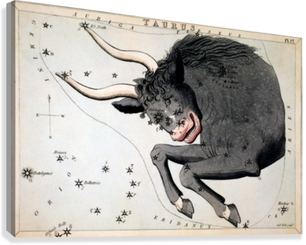 Taurus Art - Sidney Hall Canvas Art Prints - Taurus Constellation (429x344), Png Download