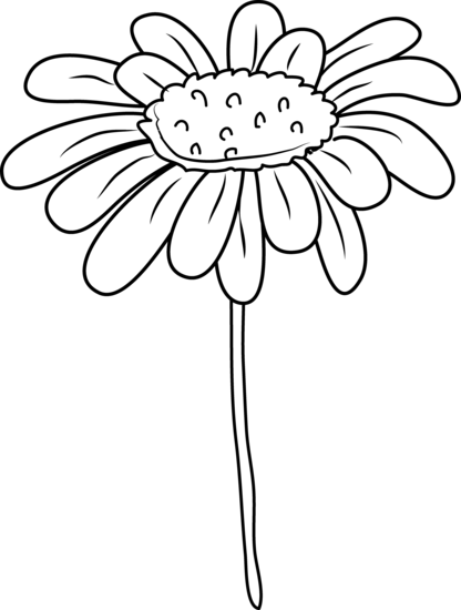 White Daisy Drawing At Getdrawings - Clip Art Black And White Daisy (416x550), Png Download