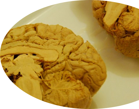 Peanut Butter Cookie (465x363), Png Download