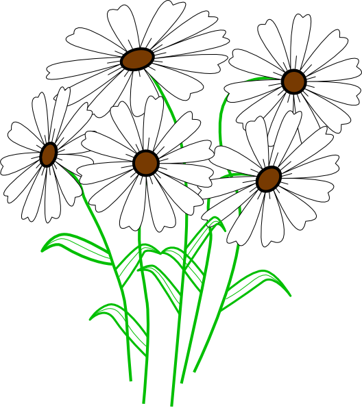 How To Set Use White Daisy Bunch Clipart (528x596), Png Download
