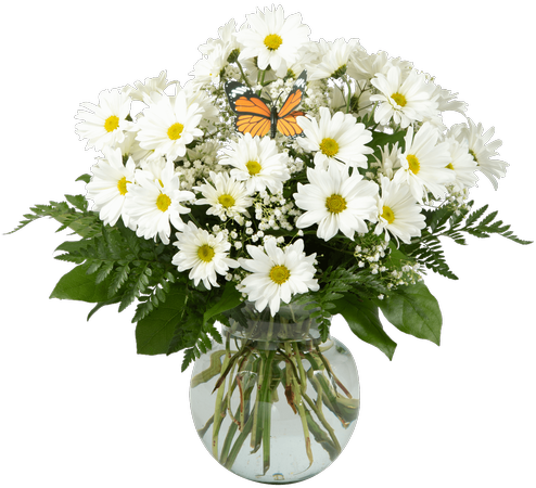 Daisy Vase, Large - Royer's Flowers & Gifts (500x611), Png Download