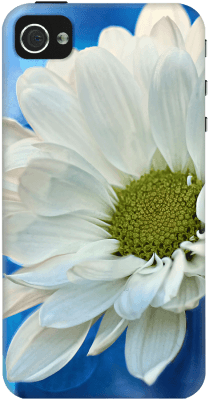 Cases Screen Guard - White Daisy On Blue Iphone 6 Slim Case By Micklyn (300x400), Png Download