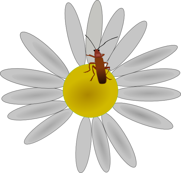 How To Set Use Bug On A Daisy Svg Vector (600x576), Png Download