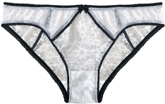 Panties (600x450), Png Download