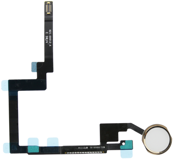 Gold Home Button Flex Cable For Ipad Mini - Ipad Mini 3 Home Button White (800x800), Png Download