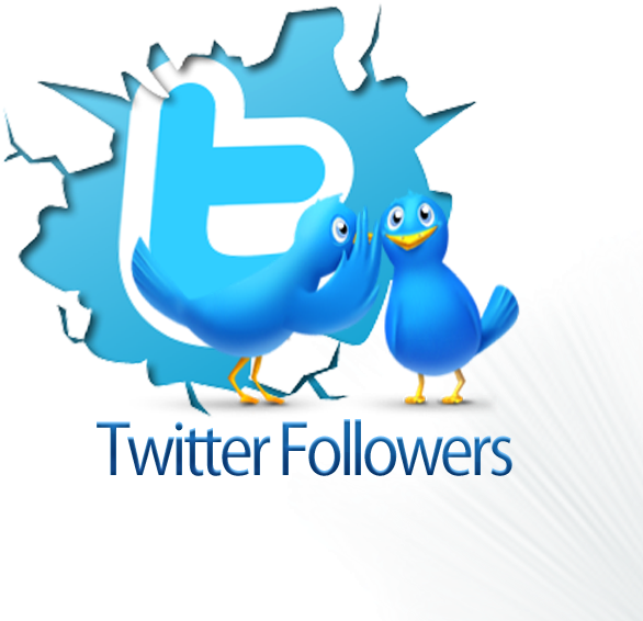 Buy 5,000 Twitter Followers - De T Shirt Do Roblox Do Twitter (600x600), Png Download