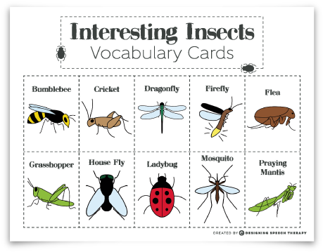 Interesting Insects Educational Product (504x435), Png Download