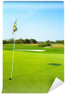 Grass (400x400), Png Download