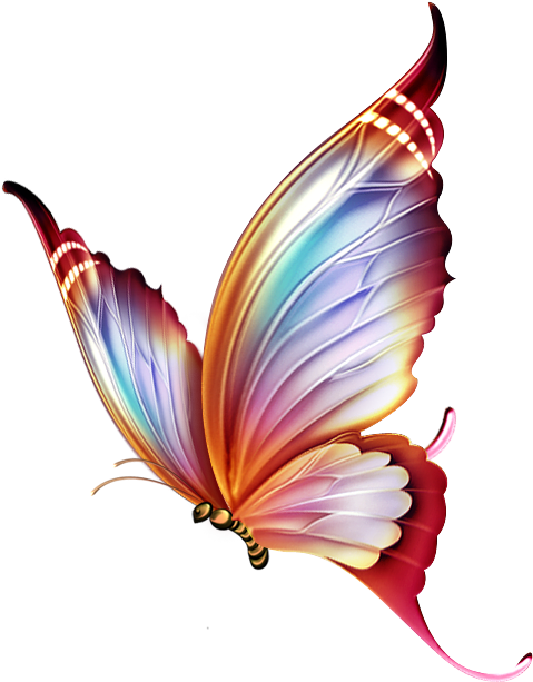 Imagen Colorful Butterfly Tattoo, Butterfly Colors, - Butterfly Colour Pencil Drawings (514x638), Png Download