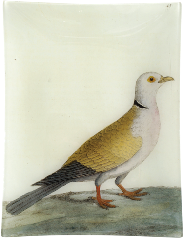 Turtle Dove - Decoupage (500x500), Png Download