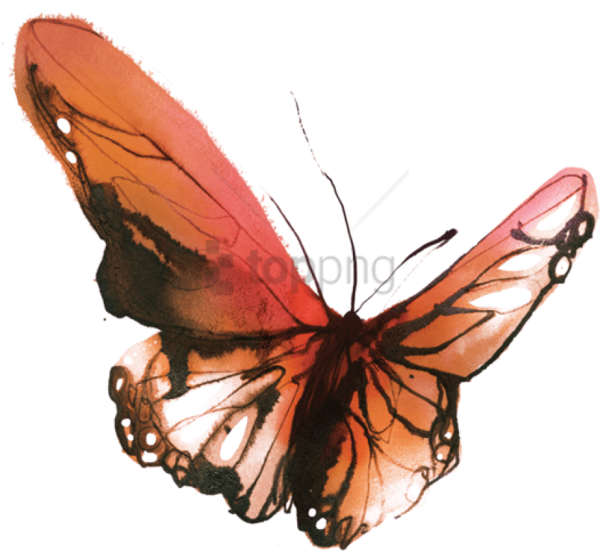 Sunset Butterfly - Tattly Temporary Tattoos, Watercolor Butterflies (690x690), Png Download