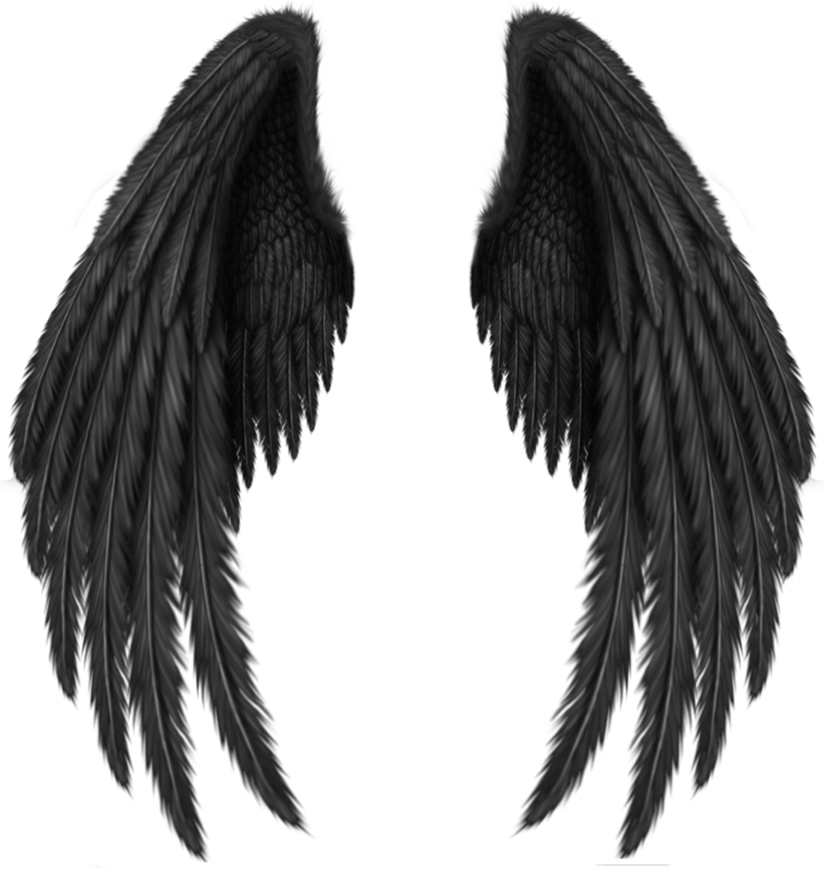 Black Wings Png - Black Angel Wings Png (1856x1862), Png Download