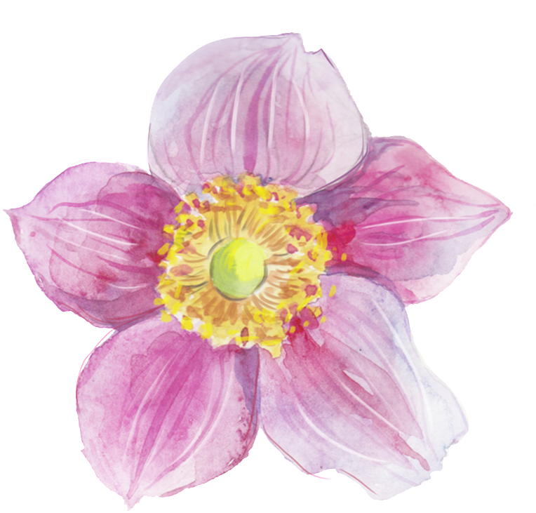 This Graphics Is Pink Heart Flower Transparent Decorative - Watercolor Painting (1024x921), Png Download