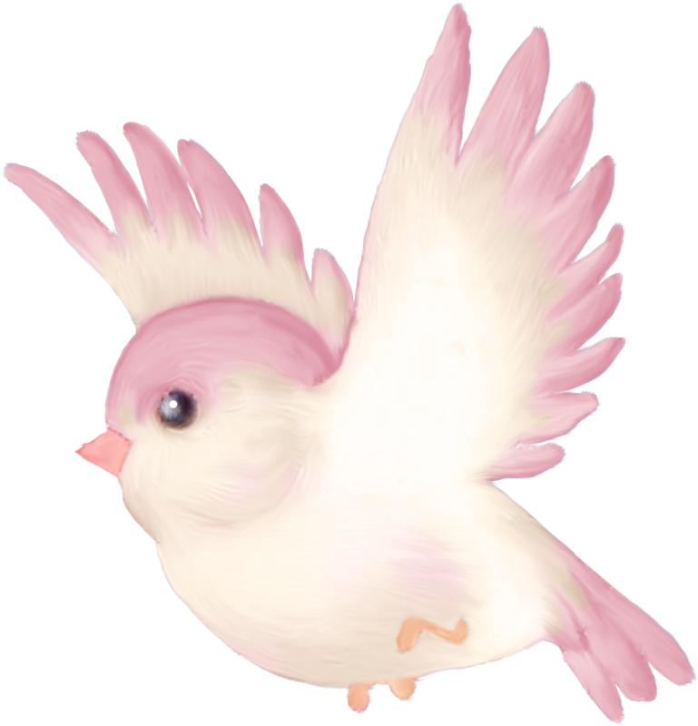 Florju Elmt Png Pinterest Bird Clip Art - Cute Pink Bird Cartoon (769x800), Png Download