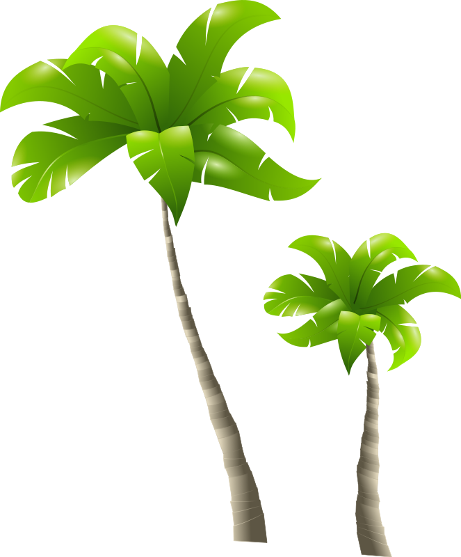 Free Icons Png - Tall Tree Short Tree (663x800), Png Download