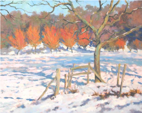 Snow (767x381), Png Download