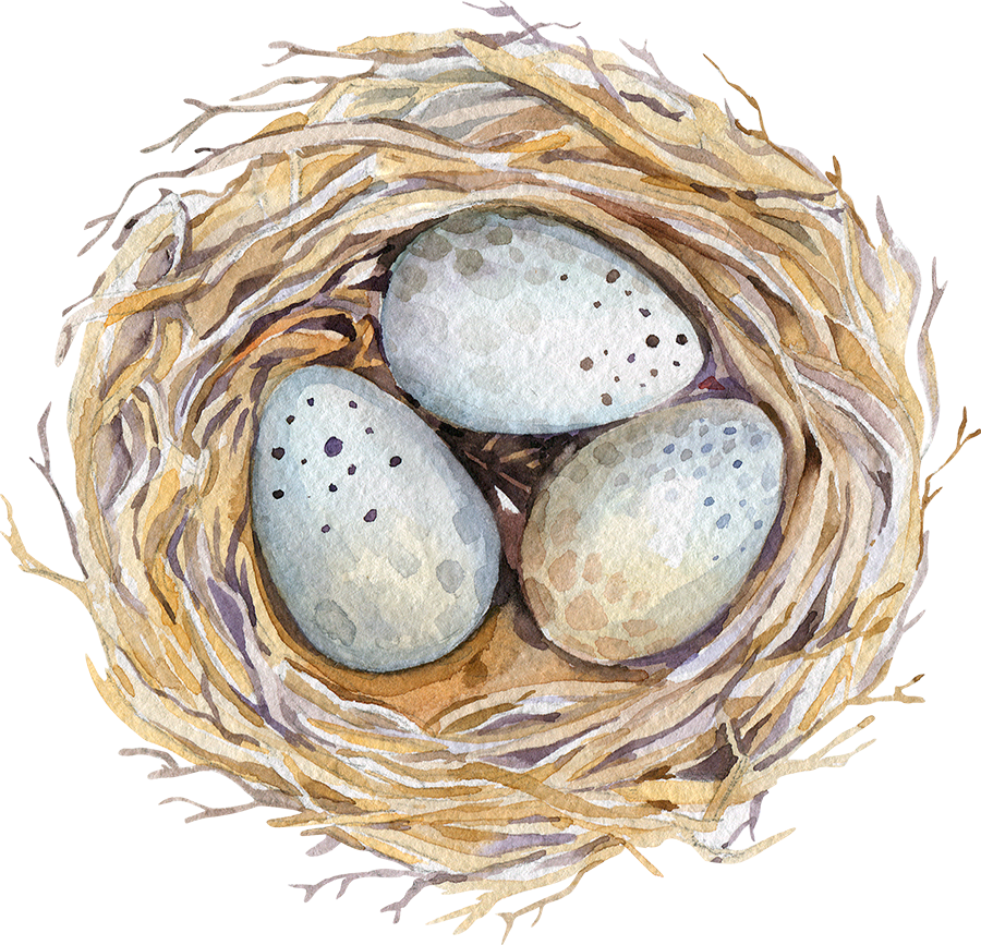 Drawing Egg Watercolor - Easter Watercolour (900x867), Png Download