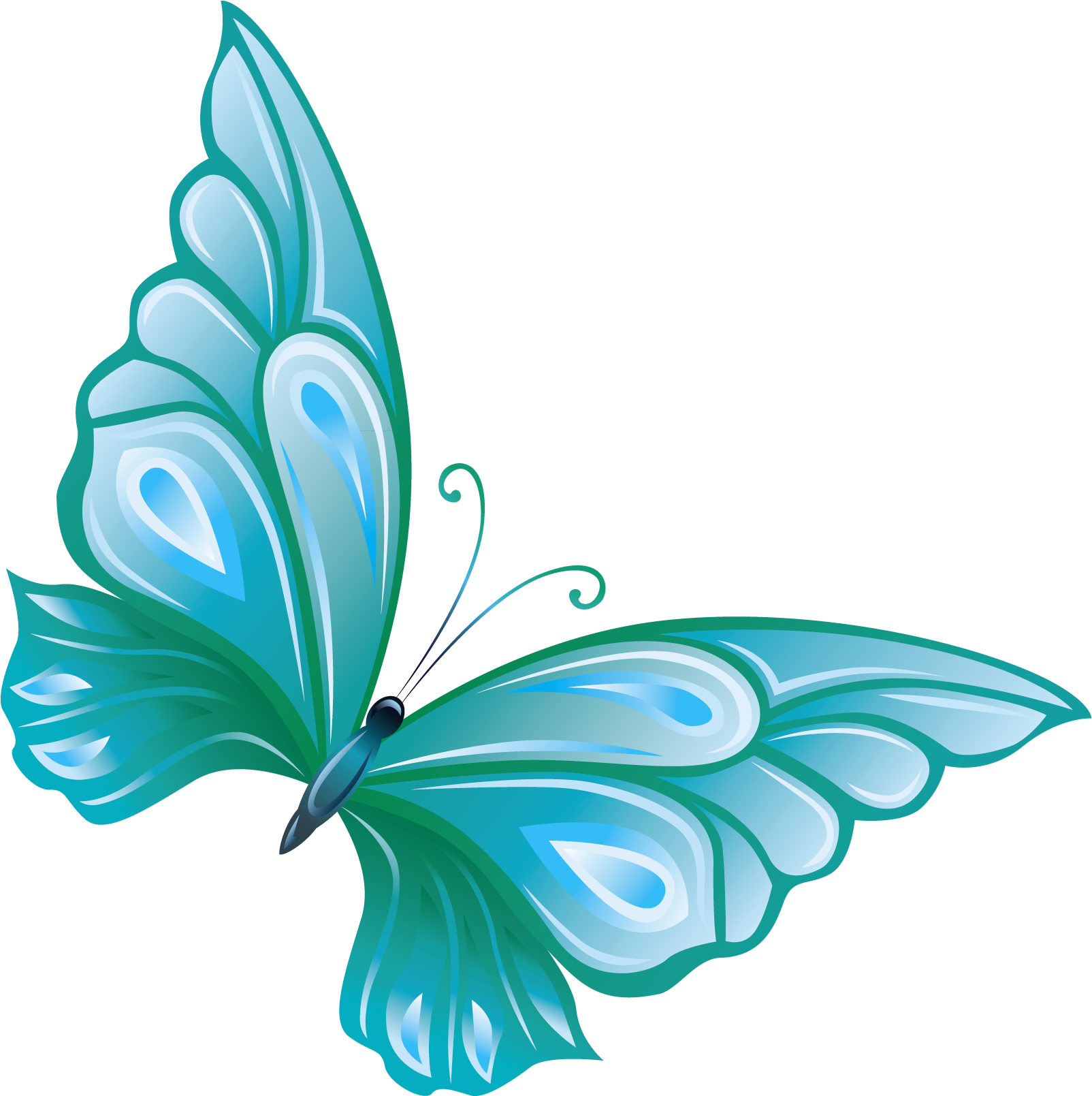 Download Light Blue Butterfly Panda Butterfly Clipart No