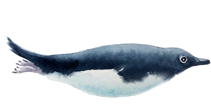 Transparent Whale Watercolor Banner Free Library - Watercolor Painting (750x406), Png Download