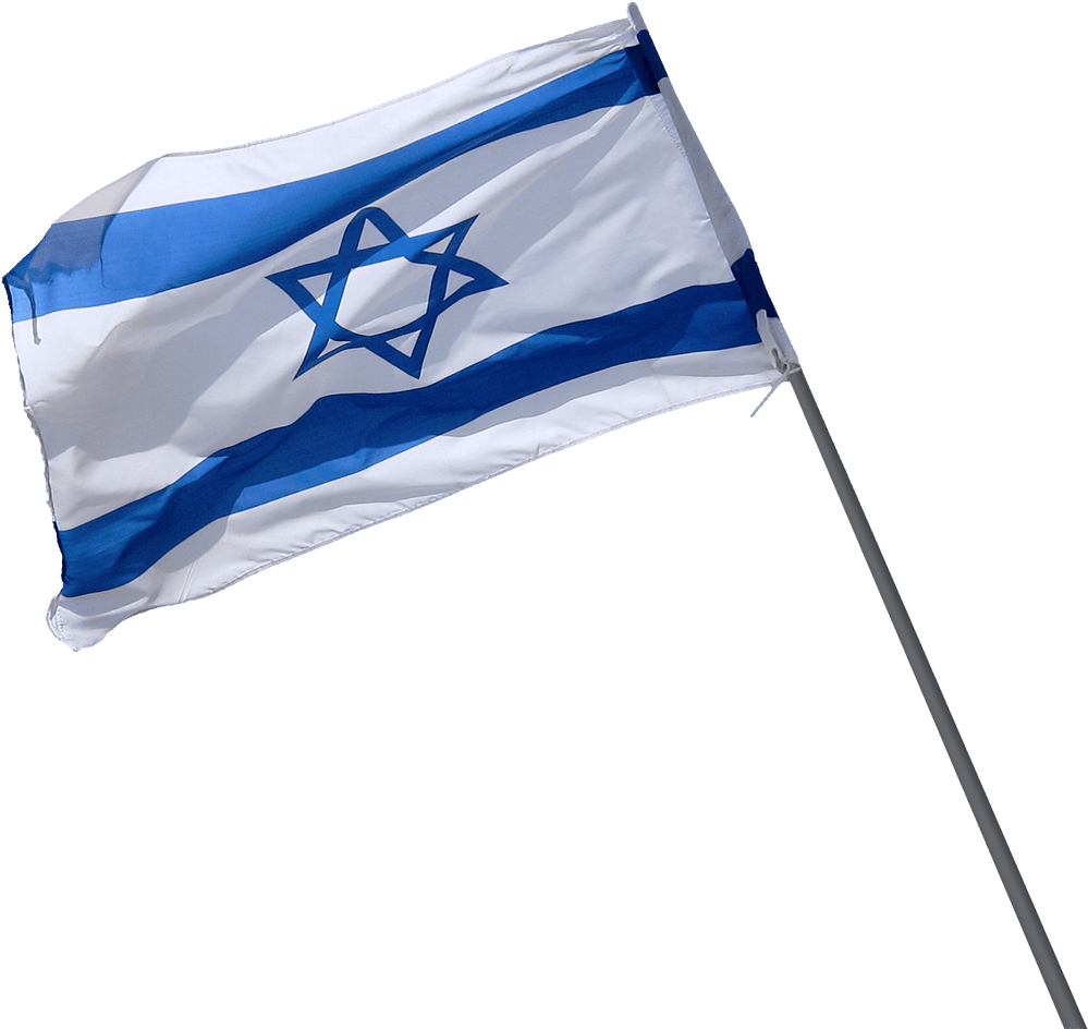 Megan Nicole Glasses - Israel Flag No Background (1000x960), Png Download