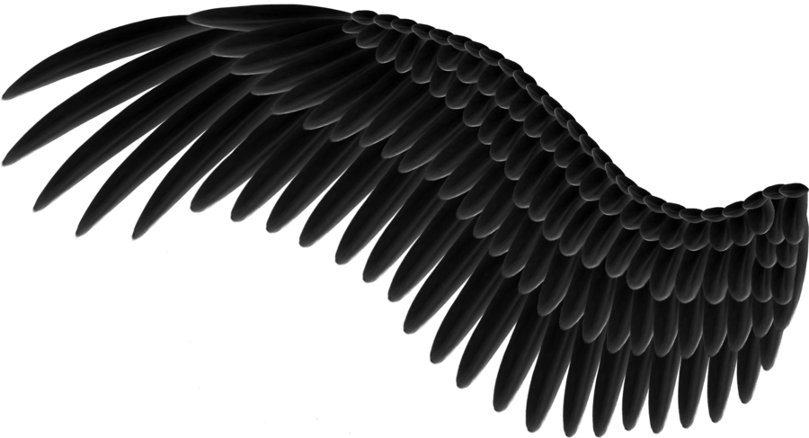 Wings Png - Black Wing Png (900x487), Png Download
