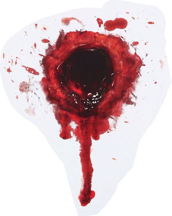 Gunshot Blood Horror Gun - Bullet Hole With Blood (562x708), Png Download