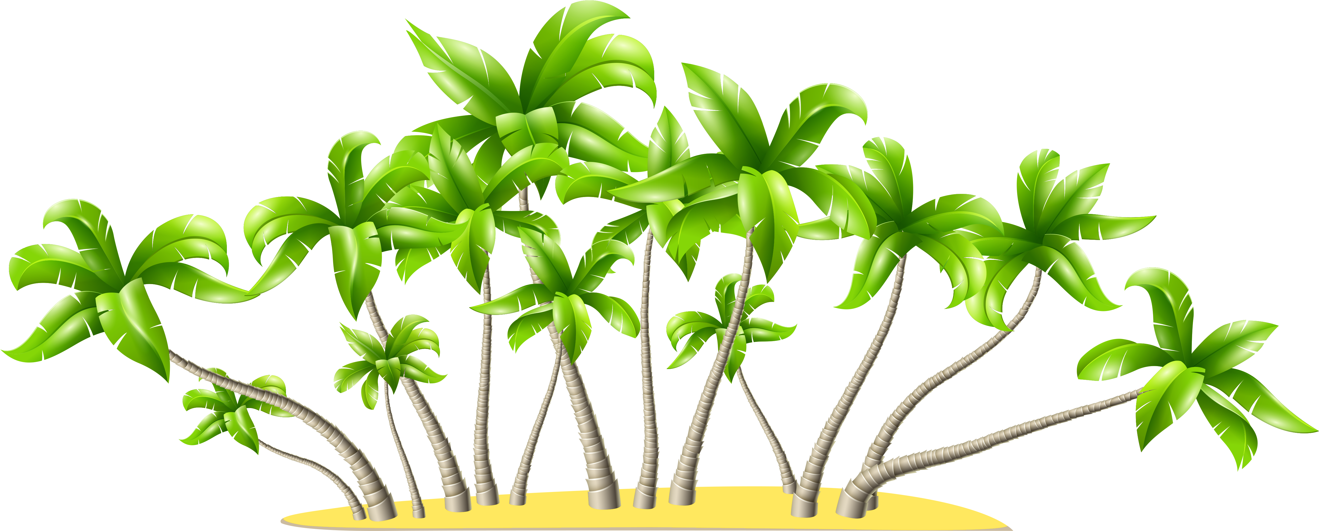 Palm Trees Clip Art Png (5065x2157), Png Download