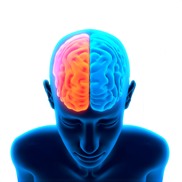 Brain Free Png Image - X And Y System: How Thinking Creates (600x600), Png Download