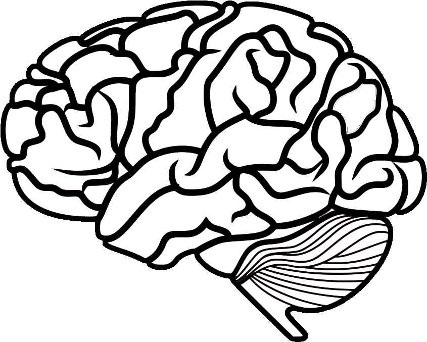 The Basics On Medical Ozone - Black Brain, White Brain By Gavin Evans (865x865), Png Download