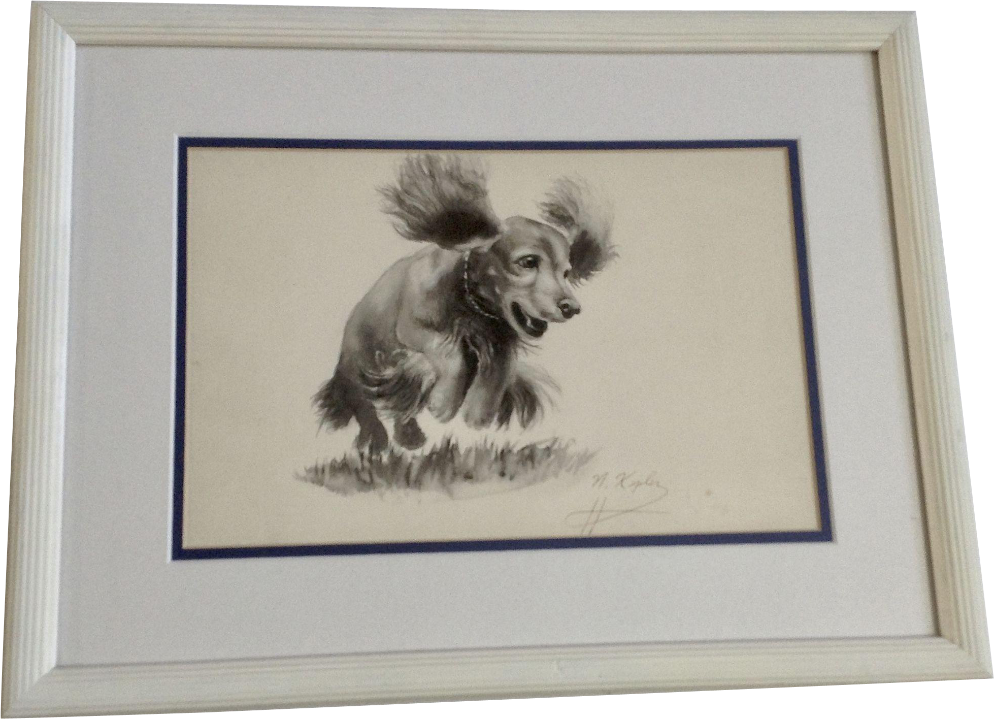 Kepler, Playful Dachshund Doxin Puppy Dog Jumping, - Yorkshire Terrier (1957x1957), Png Download