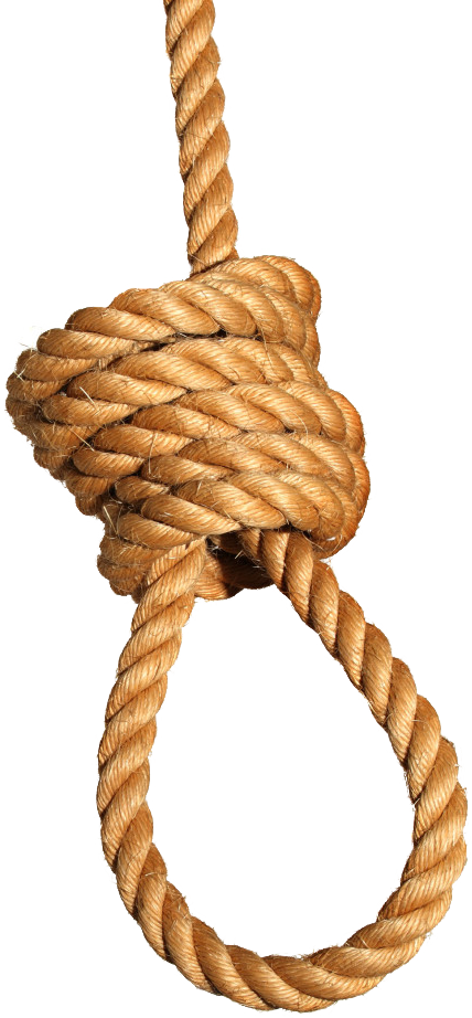 Get The Rope Ready - Noose With No Background (428x922), Png Download