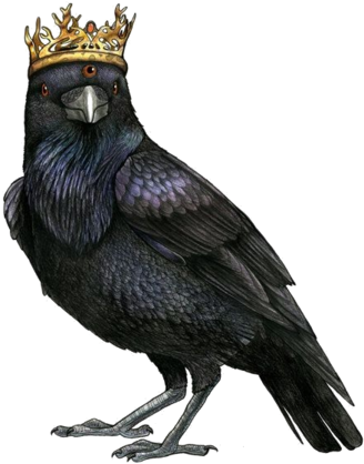 Eyed Raven Modfather Pinball - Raven Illustration (477x480), Png Download