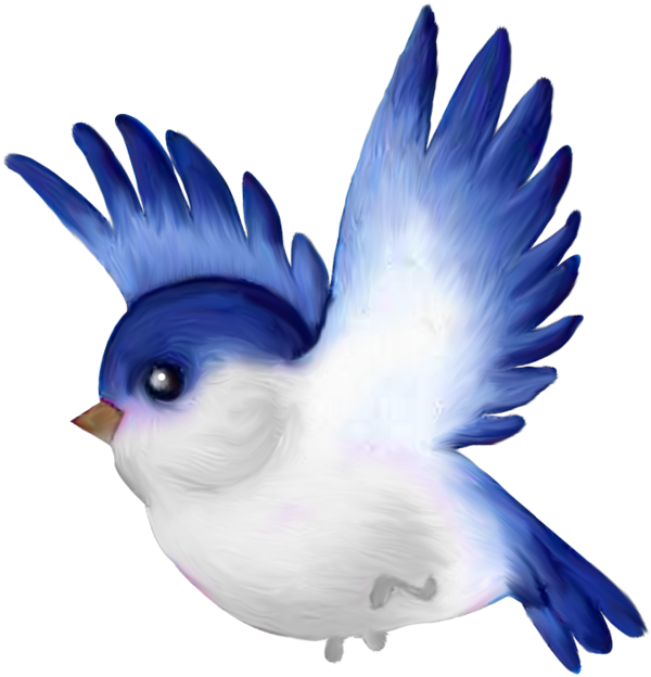 Oiseaux Birds Png Pinterest Oiseauxbirdspng - Bird Cartoon (600x624), Png Download