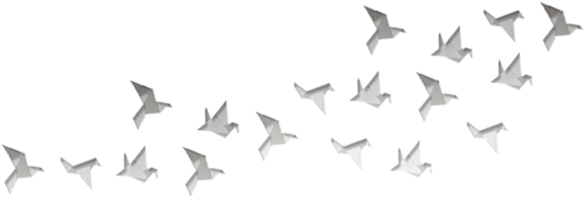 Birds - Picsart White Png (900x350), Png Download