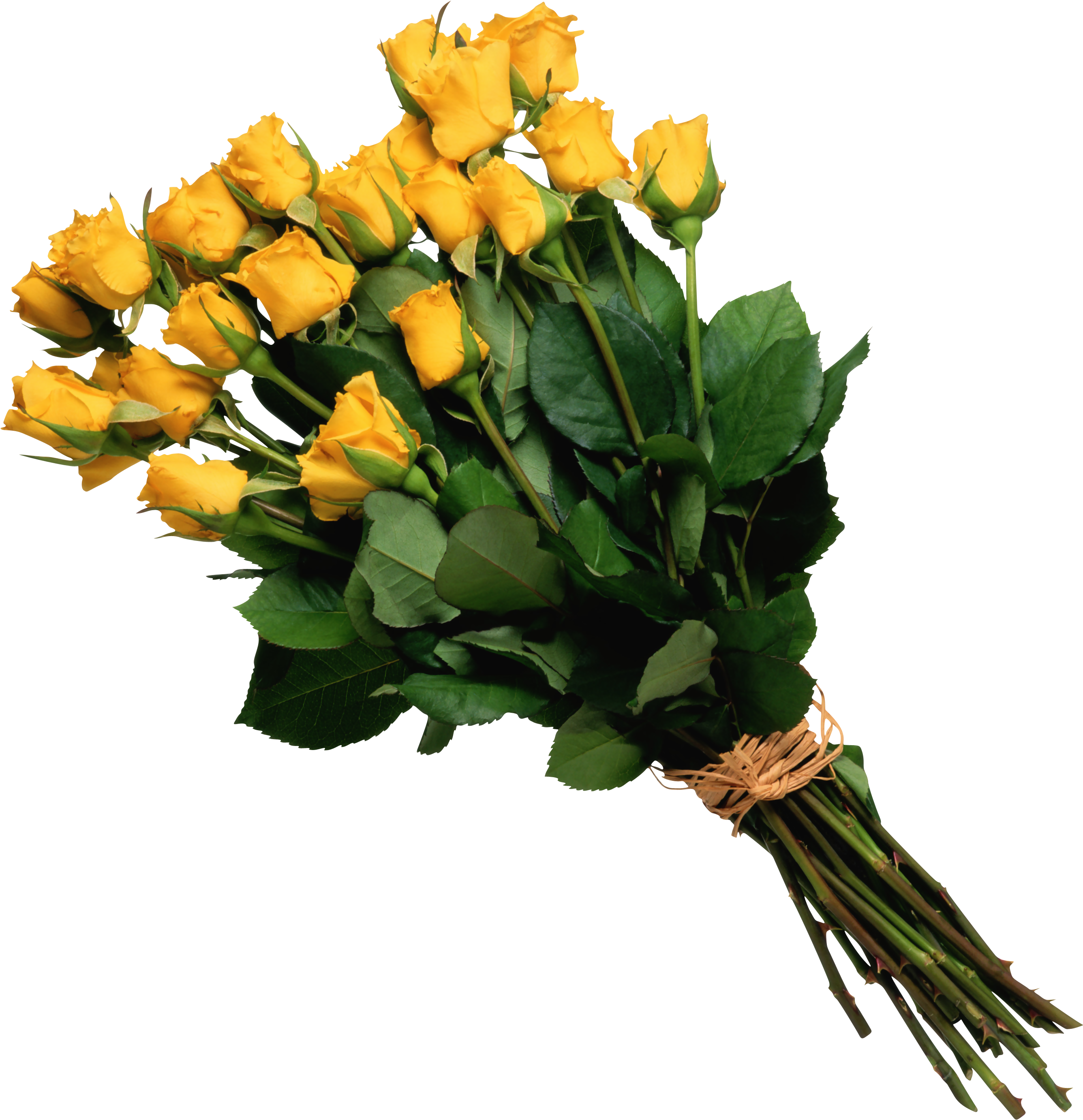 Bouquet Flowers Png - Bouquet Of Flowers Png (1024x1024), Png Download