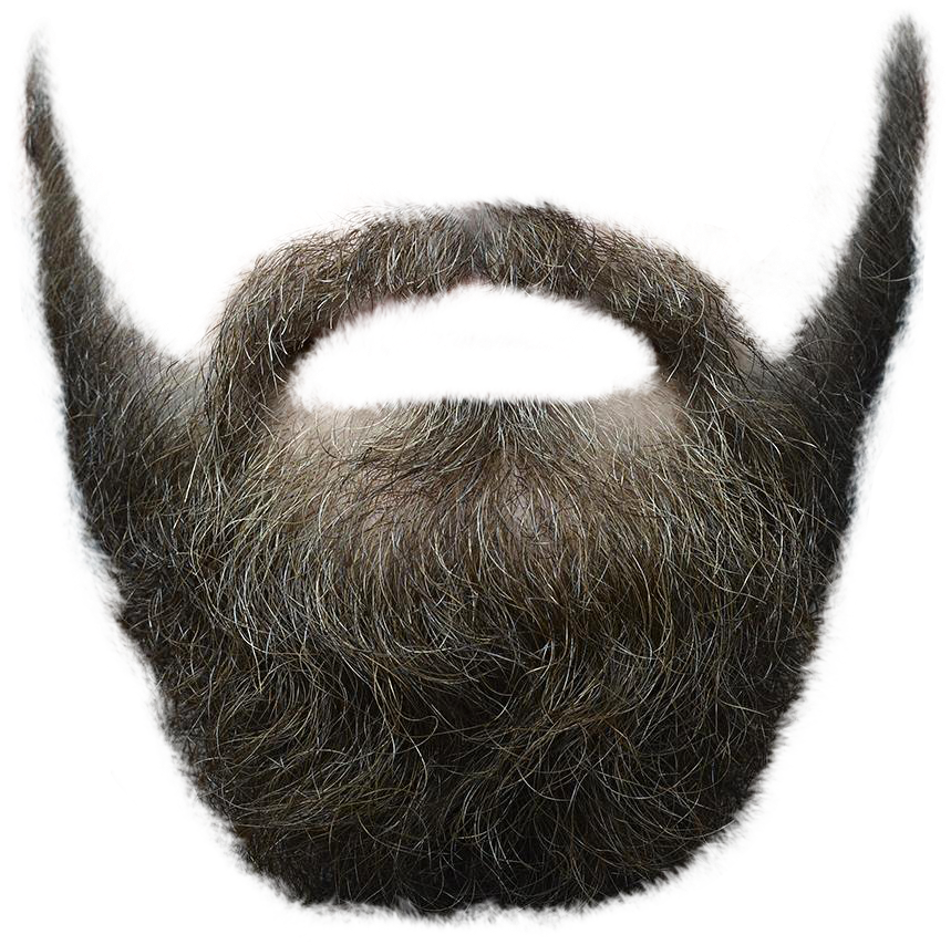 Beard Png Transparent Image - Hairstyle Transparent Male Png (500x490), Png Download