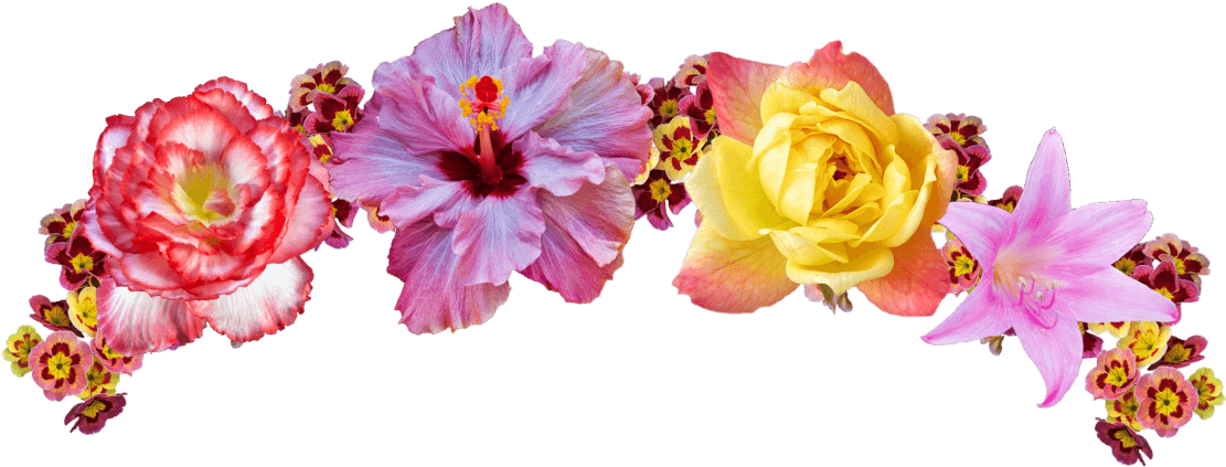 Video Game Flower Crown Edits - Flower Crown Png Transparent (1280x535), Png Download