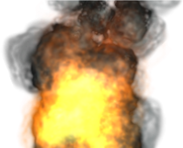 Airedale Terrier (640x480), Png Download