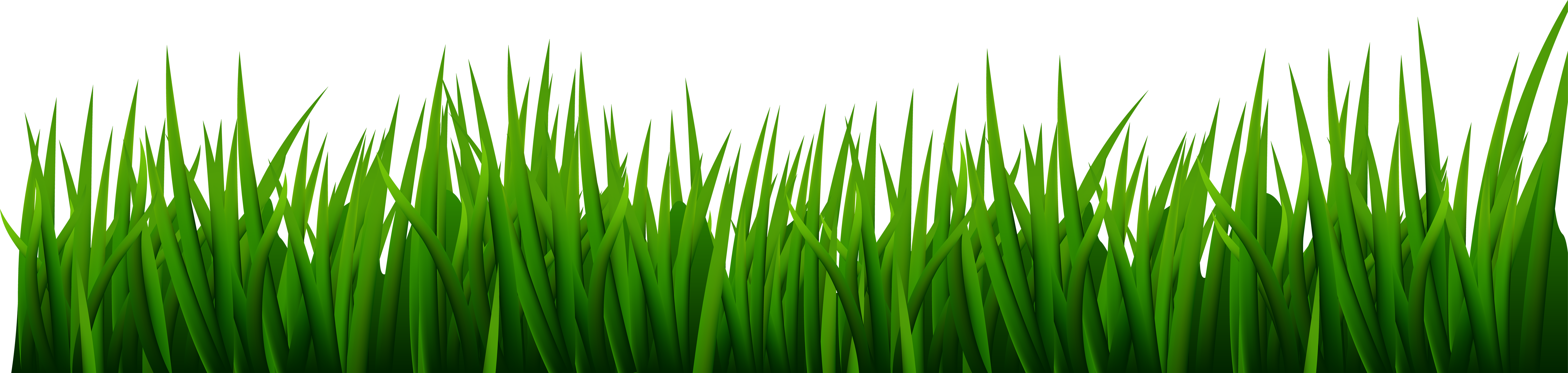 Transparent Line Of Grass (8000x1906), Png Download