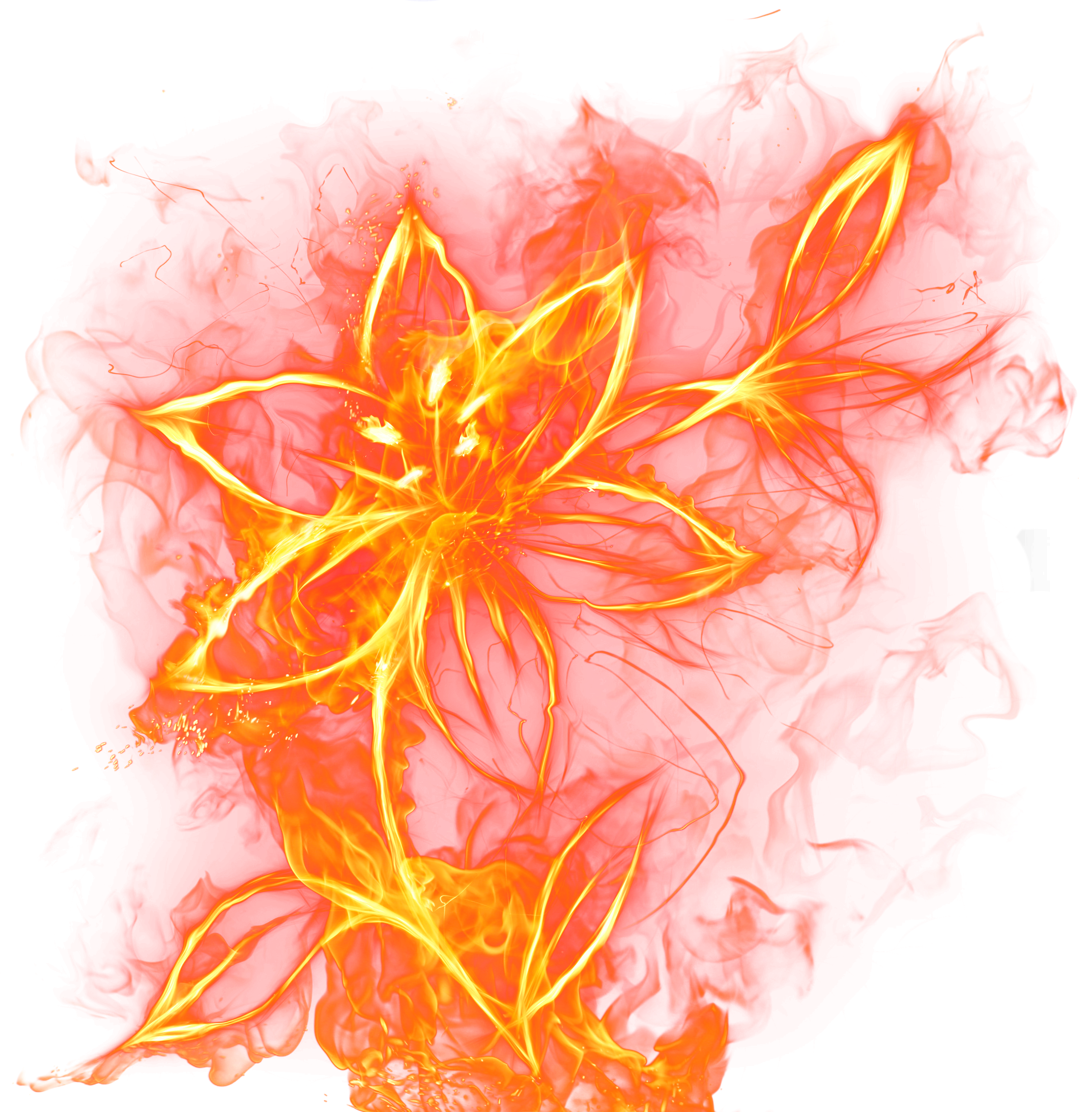 Beautiful Flower Png Picture Projects To Try - Becoming A Mother On Fire: A Guide F (3117x3102), Png Download
