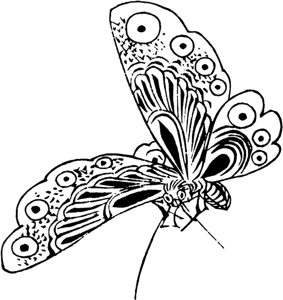 Japanese Drawing Butterfly - Butterfly Drawing Png (640x650), Png Download