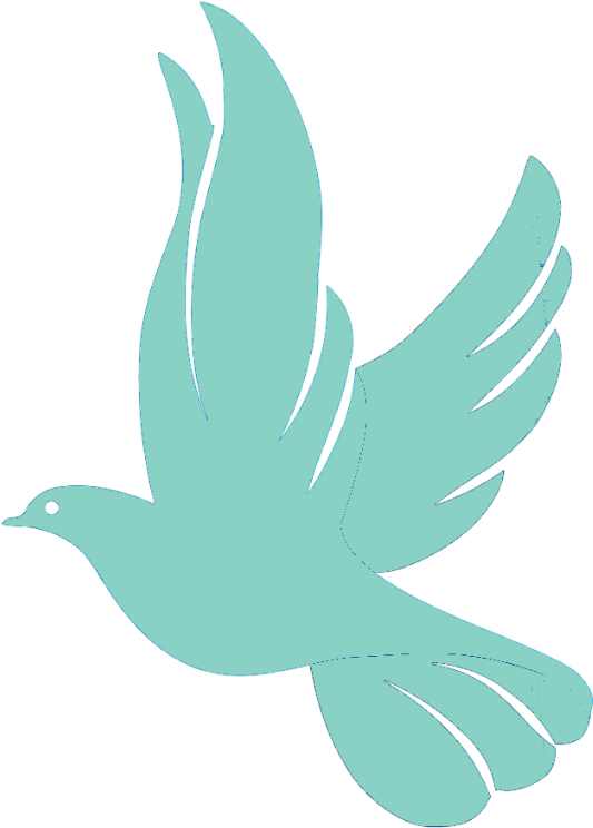 60 White Doves $350 - Dove Png (1024x934), Png Download