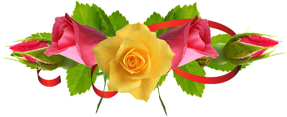 Yellow Rose Flower Free Png Transparent Images Free - Yellow Rose Flower Png (960x447), Png Download