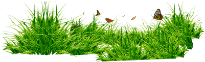 Png Format Grass Png Hd (400x400), Png Download